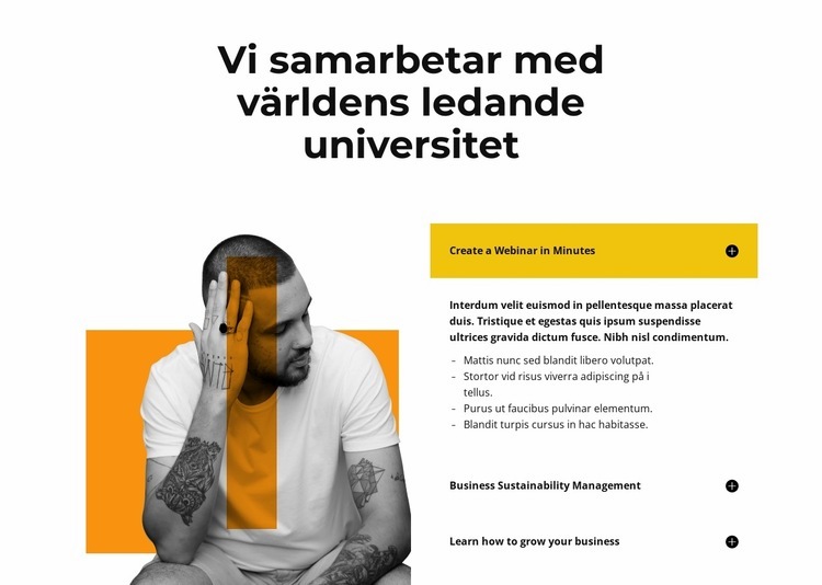 Expert på vår företagsmedlem CSS -mall