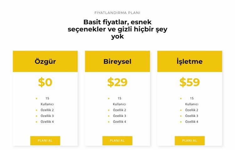 En iyi planınızı seçin Açılış sayfası