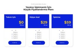 Fiyatlandırmanızı Seçin