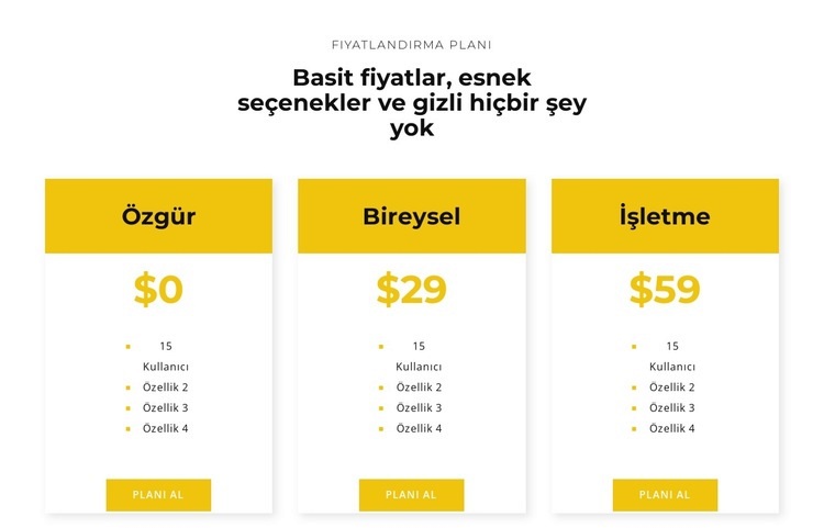 En iyi planınızı seçin Bir Sayfa Şablonu