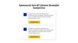 BT Çözüm Stratejisi Geliştirme - WordPress Teması Ilhamı