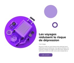 Les Voyages Réduisent Le Risque De Dépression - Conception De Sites Web Réactifs