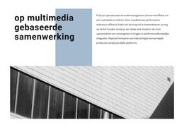 Zakelijke Promotie En Ontwikkeling