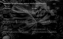 Målsida För Snabb Utveckling Av Ett Framgångsrikt Företag