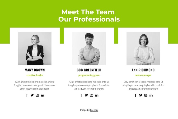 Professional team CSS Template