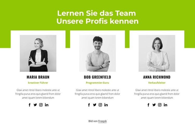 Professionelles Team Website design