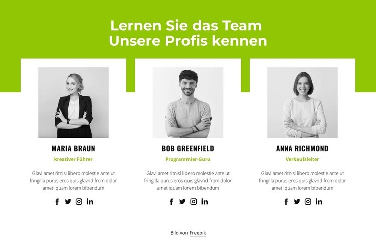 Professionelles Team Website-Modell