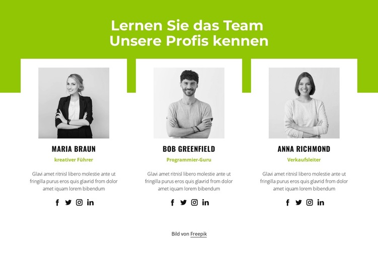 Professionelles Team Website-Vorlage