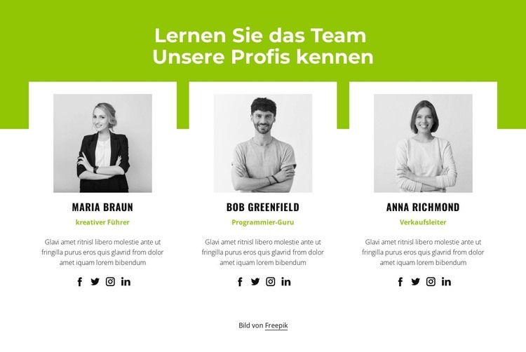 Professionelles Team Landing Page