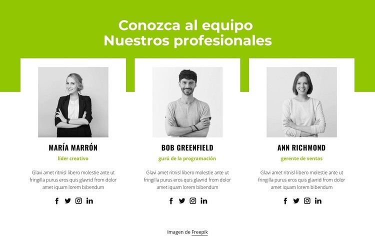 Equipo profesional Plantillas de creación de sitios web