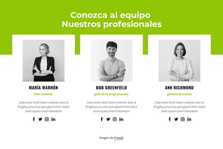 Equipo profesional Página de destino