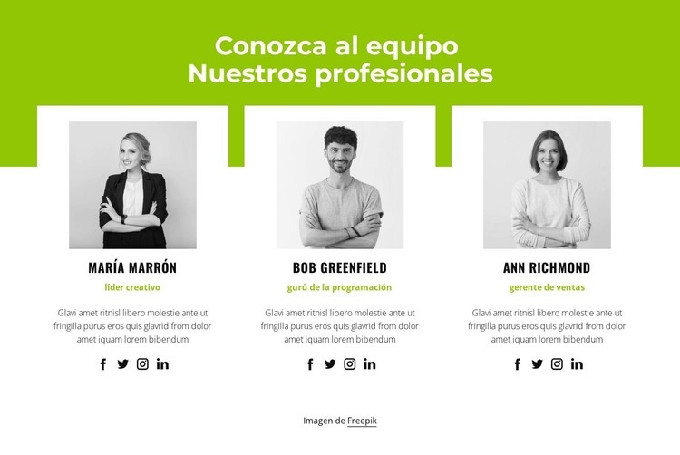 Equipo profesional Plantilla HTML5