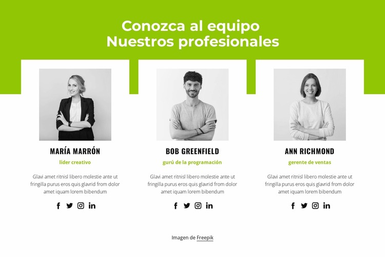 Equipo profesional Plantilla Joomla