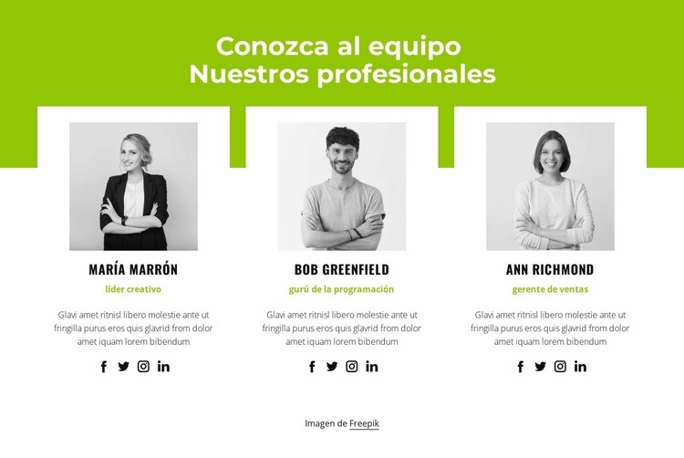 Equipo profesional Plantilla