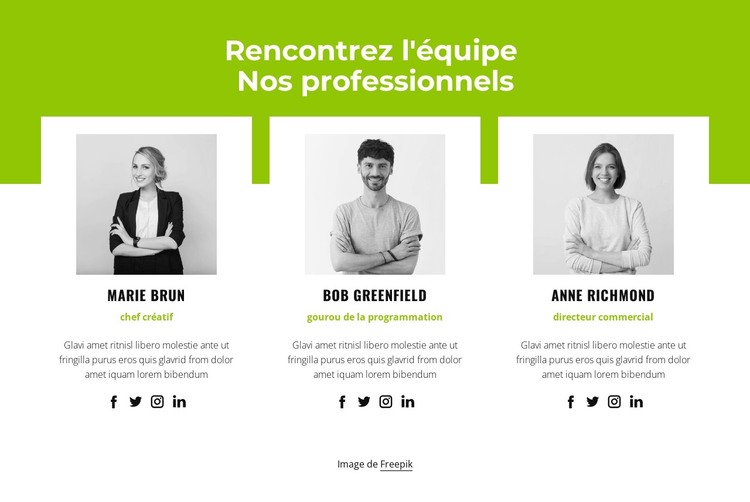 Equipe professionelle Modèle HTML