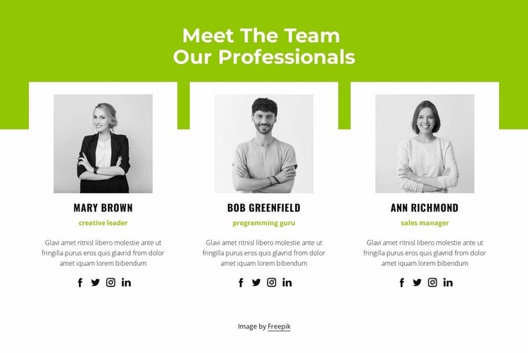 Professional team Homepage Design