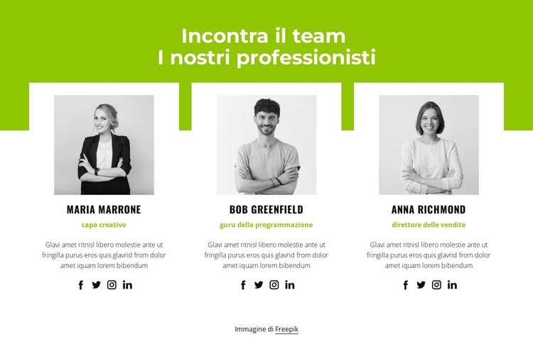 Squadra professionale Mockup del sito web