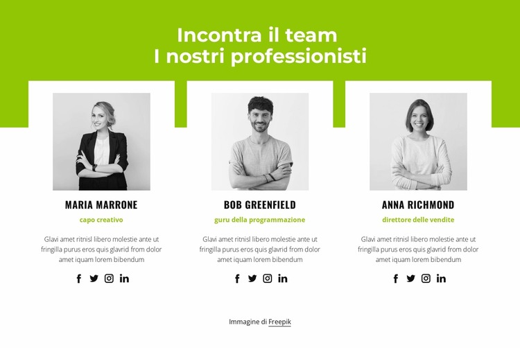 Squadra professionale Modello Joomla