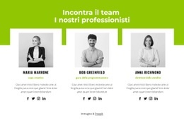 Squadra Professionale Velocità Google