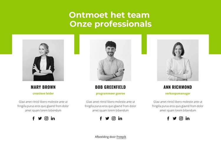 Professioneel team CSS-sjabloon