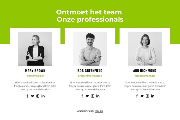 Professioneel team Website ontwerp