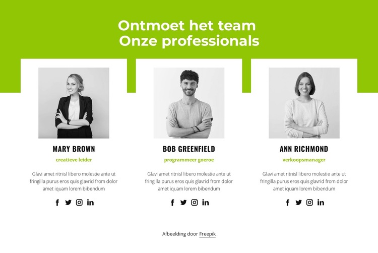 Professioneel team Website sjabloon