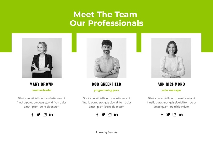 Professional team One Page Template
