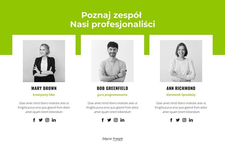 Profesjonalna drużyna Projekt strony internetowej