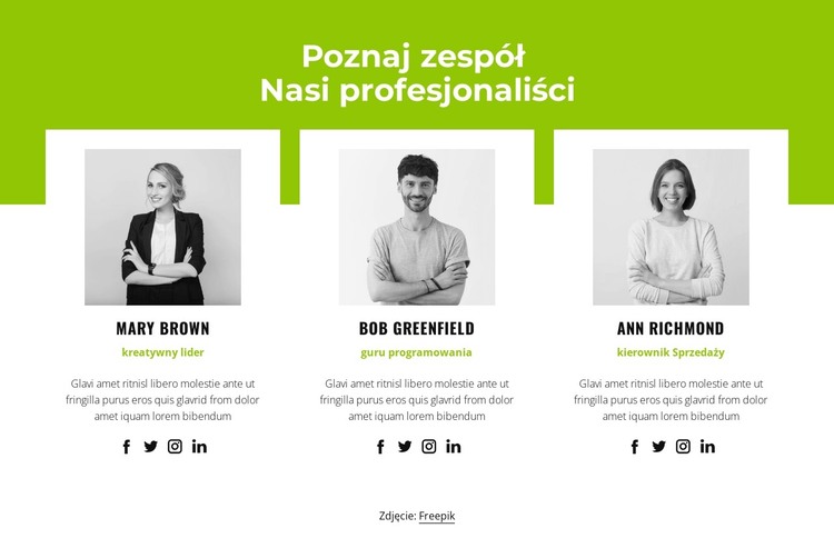 Profesjonalna drużyna Szablon HTML