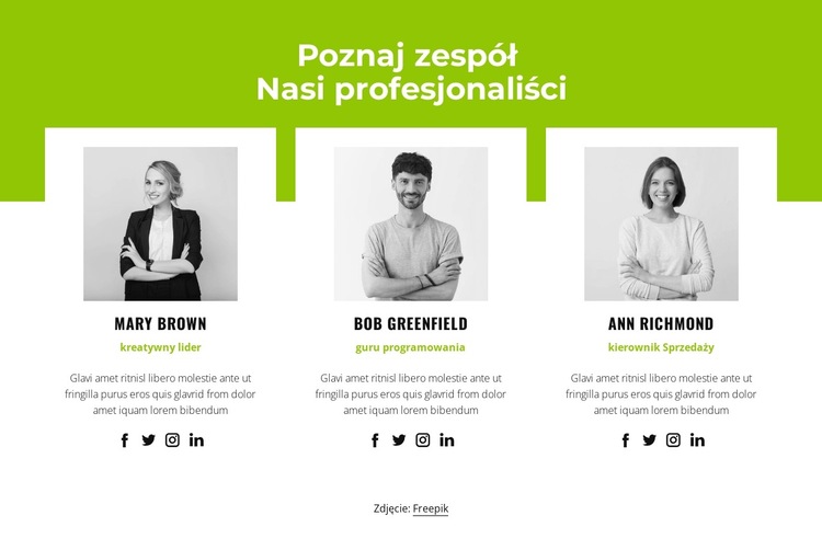 Profesjonalna drużyna Szablon witryny sieci Web