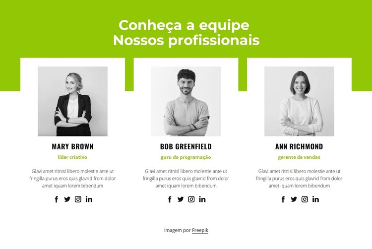 Equipe profissional Template CSS