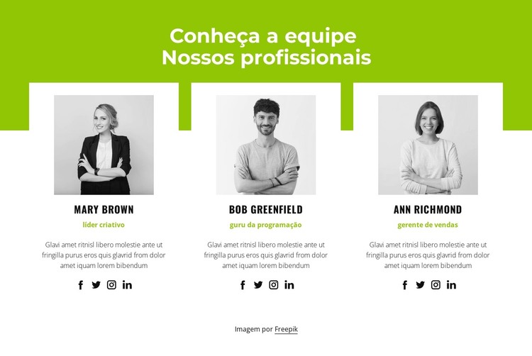 Equipe profissional Modelo HTML