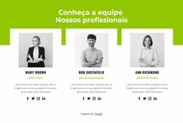 Equipe Profissional