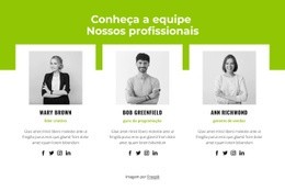 Equipe Profissional - Página De Destino Fácil De Usar