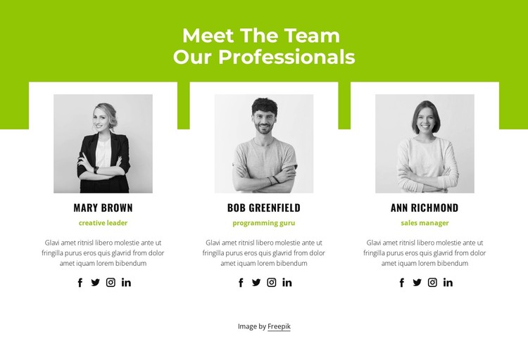 Professional team Static Site Generator