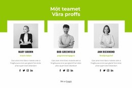 Professionellt Team