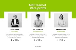 Gratis Webbdesign För Professionellt Team