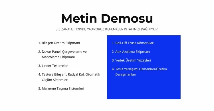 Metin demosu Açılış sayfası
