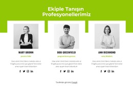 Profesyonel Takım Için Sayfa Web Sitesi