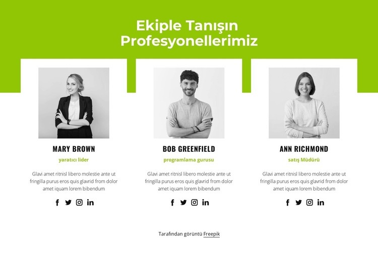 Profesyonel takım Html Web Sitesi Oluşturucu