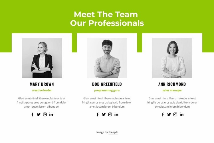 Professional team Web Page Design