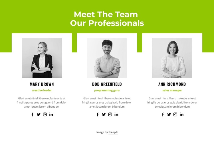 Professional team Website Builder Software