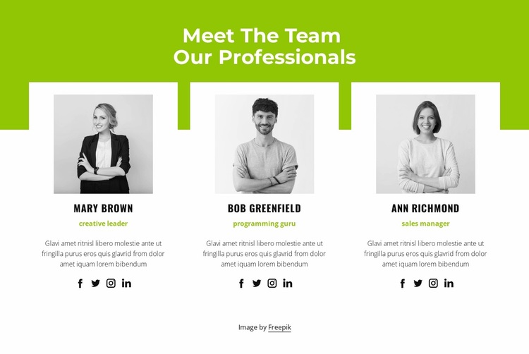 Professional team Website Design