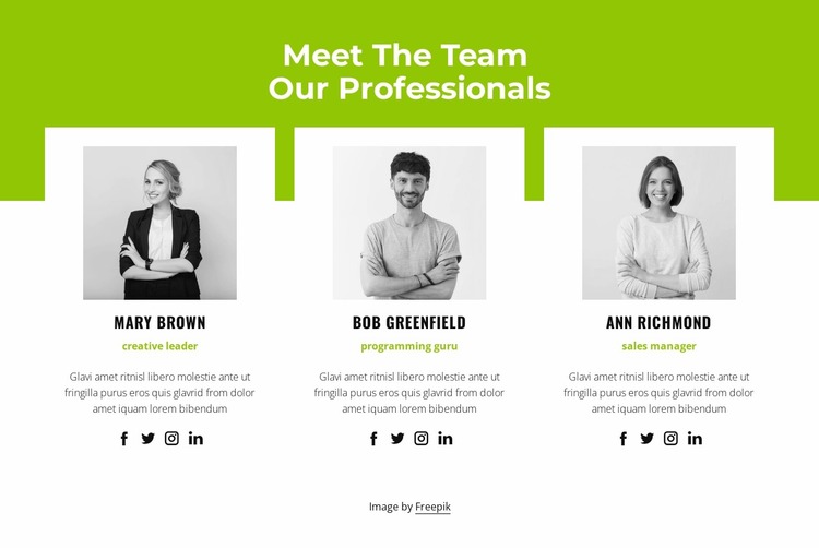 Professional team Website Mockup