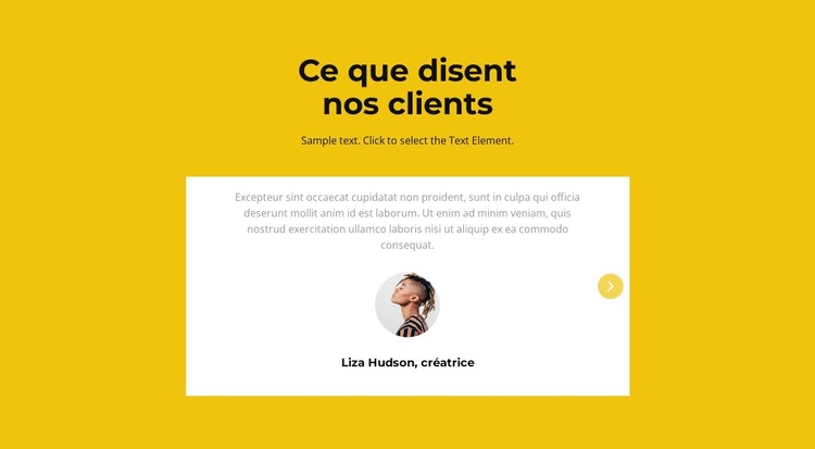 Deux témoignages en slider Modèle de site Web