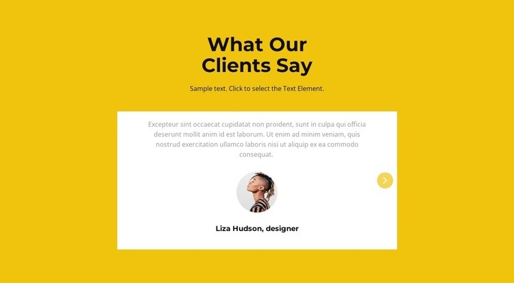 Two testimonials in slider Homepage Design