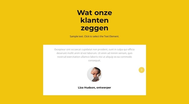 Twee getuigenissen in slider Website mockup