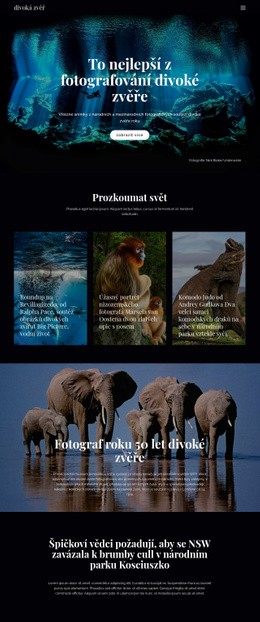 Divoká Zvěř A Příroda – Šablona Stránky HTML