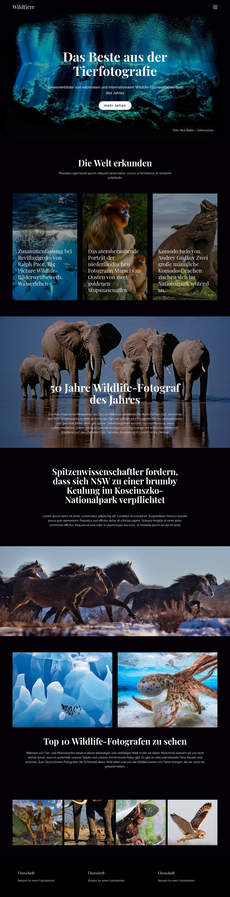 Tierwelt und Natur Eine Seitenvorlage