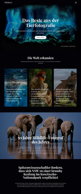 Tierwelt Und Natur